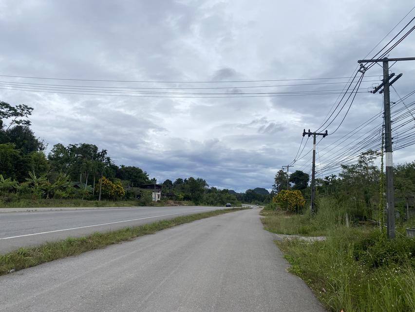 ขายที่ดินพร้อมสิ่งปลูกสร้าง 9