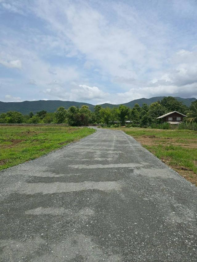ขายที่ดิน ออนกลาง สันกำแพง 5
