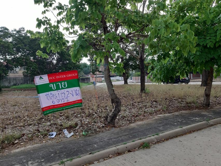 ⛳ขายที่ดินเปล่าเหมาะสำหรับปลูกสร้างบ้าน ในโครงการหมู่บ้านเดอะลากูน1 อำเภอสามโคก จังหวัดปทุมธานี ติดละเลสาป ⛳ 3