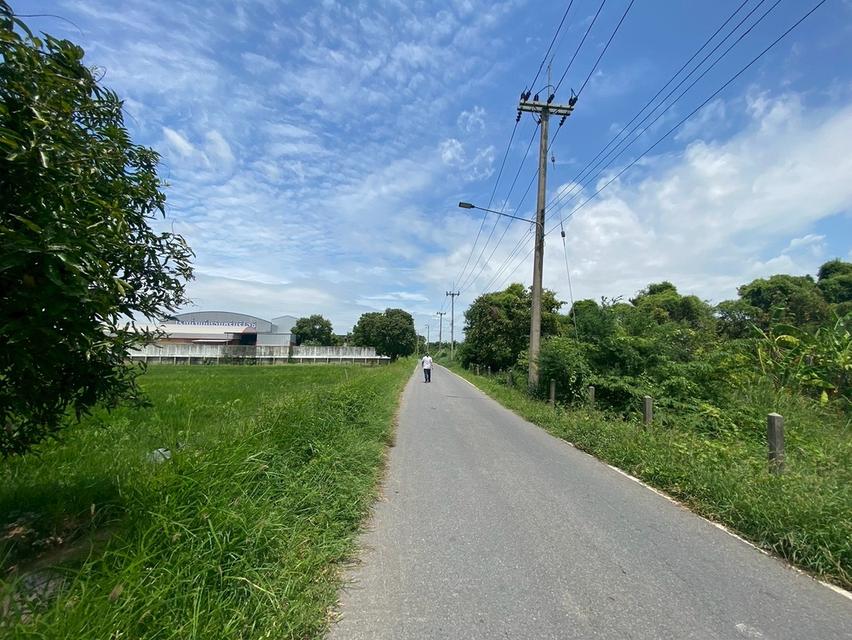 ขายที่ดิน 8 ไร่ อยู่ถนนสายเอเซีย อ. อินทร์บุรี จ. สิงห์บุรี