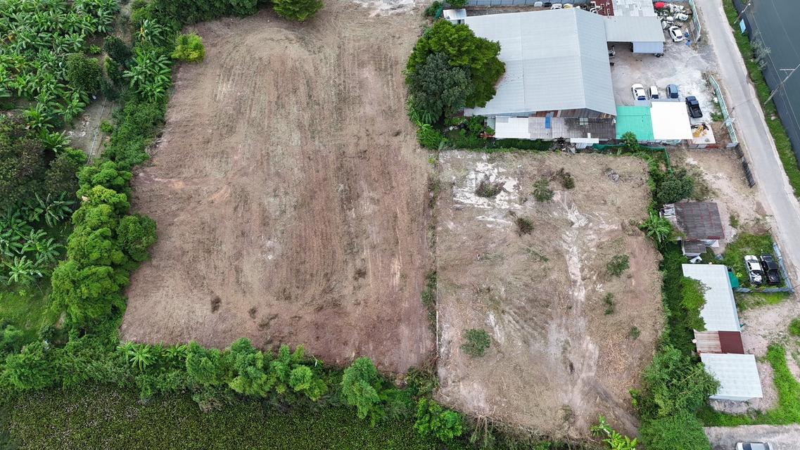 ที่ดิน ระยอง 3 ไร่ 395 ตารางวา 9