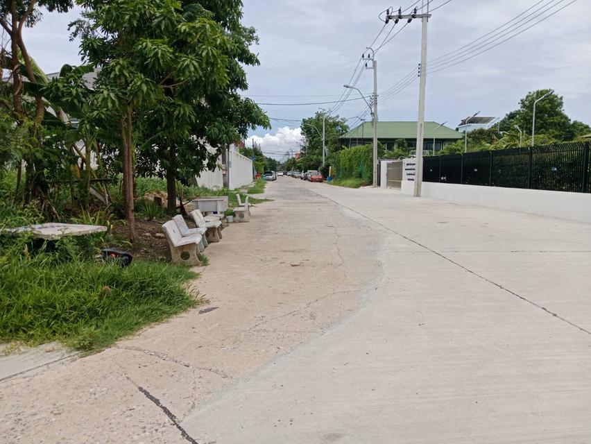ขายที่ในหมู่บ้าน ลานทอง ปากเกร็ด หมู่บ้านใหญ่ทำเลดี ติวานนท์-ปากเกร็ด เหมาะสร้างบ้าน 84 วามุม และยังมีติดกัน 69 วาสองแปลง  ลุงป้า น้าอาที่อยู่สนใจใจรี 12