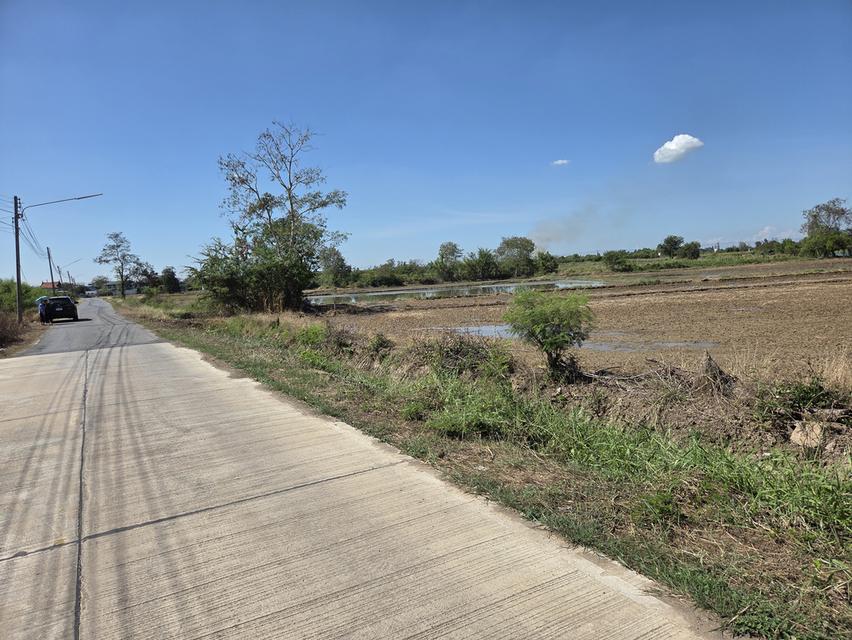 ที่ดิน อ.ภาชี จ.อยุธยา 3