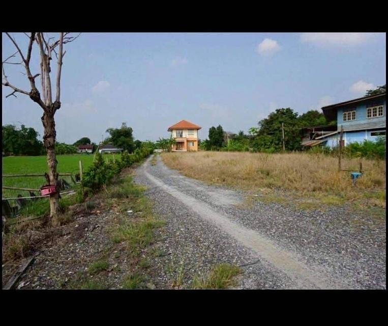 ขายที่ดินหนองจอกติดถนนใหญ่ 16 ล้าน 2