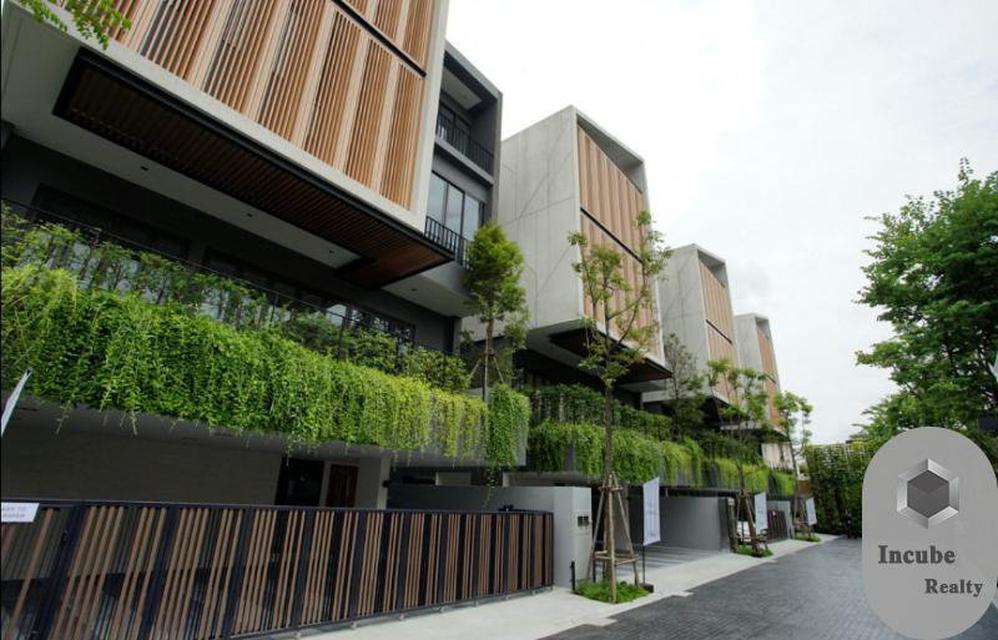 รูป ขาย บ้านเดี่ยว 4 ห้องนอน พระโขนงเหนือ 39.9 ล้าน 1