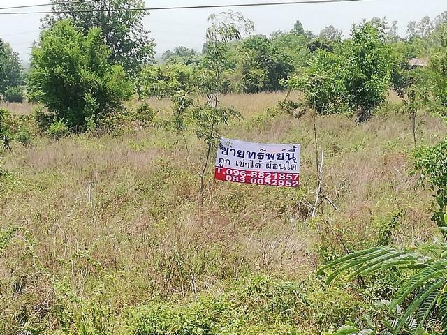 ที่ทำเลหลักล้านติดถนนพหลโยธิน เอเซีย AH1ที่ดินทำเลดีบ้านตากจังหวัดตาก ปล่อยให้เช่าหรือขาย ราคาคุยได้ 8