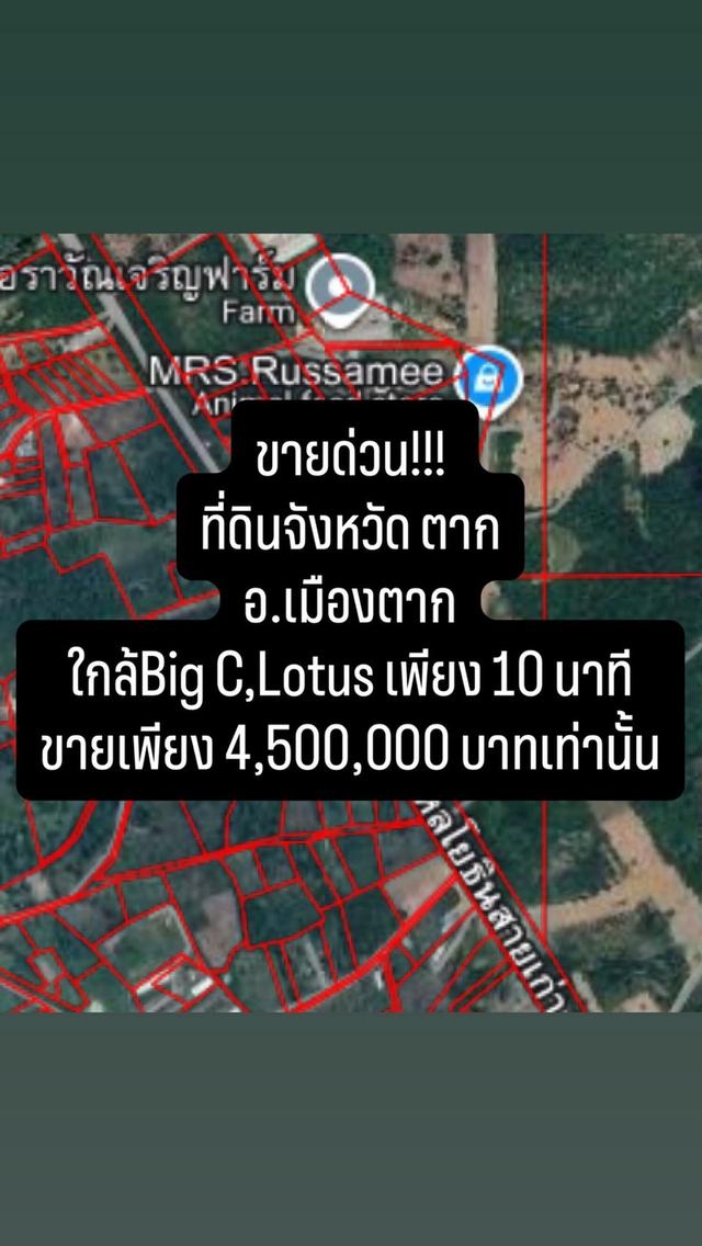 ขายที่ดิน 4 ไร่ครึ่งจังหวัดตาก