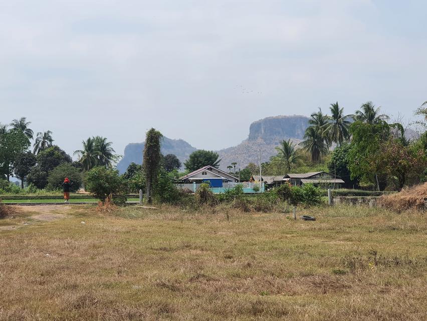 ที่ดินเปล่าเมืองราชบุรี วิววัดหนองหอย ติดลาดยาง ฝนชุมชน 10