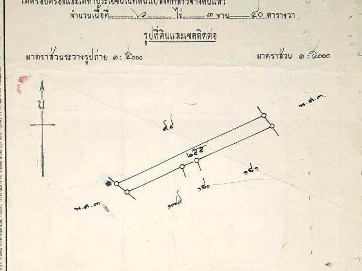 ที่ดิน ที่นา 16 ไร่ เจ้าของขายเอง 9