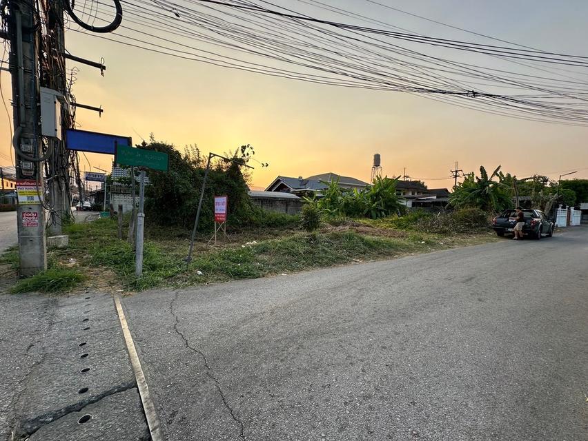 ขาย/ให้เช่าที่ดิน จ.เชียงใหม่ อ.แม่ริม ต.ริมใต้ อยู่ใกล้ตลาดแม่ริม 1