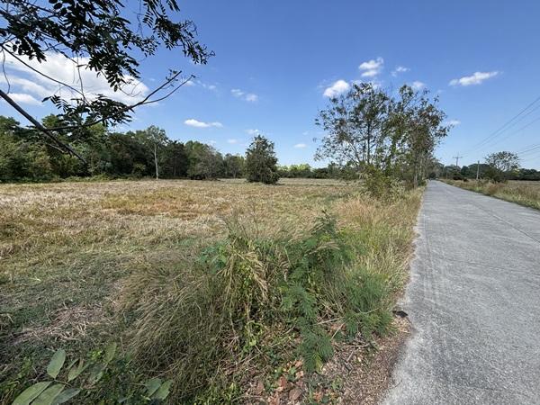 ขายที่ดิน 13 ไร่ 63 ตารางวา นครนายก ถนนสุวรรณศร หมู่ที่9 ต.ป่าขะ อ.บ้านนา โทร 089-7411750 5