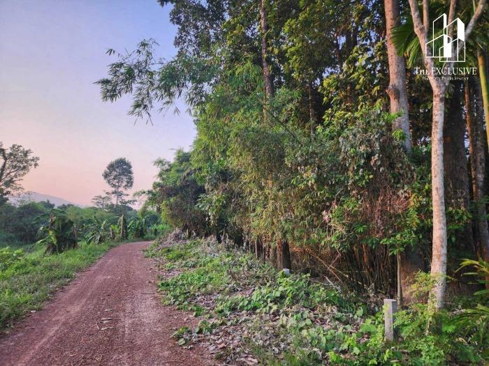 ขายที่ดินวิวเขา เกือบ 6 ไร่ เขาพระ จ.นครนายก  ทำเลสวย ติดถนนใหญ่ ใกล้แหล่งท่องเที่ยว เหมาะทำรีสอร์ท–คาเฟ่–บ้านพักตากอากาศ 6