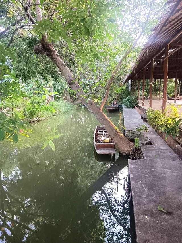 ขายที่ดินแปลงใหญ่ ใกล้ตลาดคลองลัดมะยม เหมาะพัฒนาโครงการที่อยู่อาศัยและเชิงพาณิชย์ 8