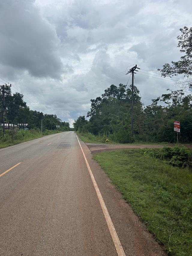 ขายที่ดิน อำเภออากาศอำนวย จ.สกลนคร 5