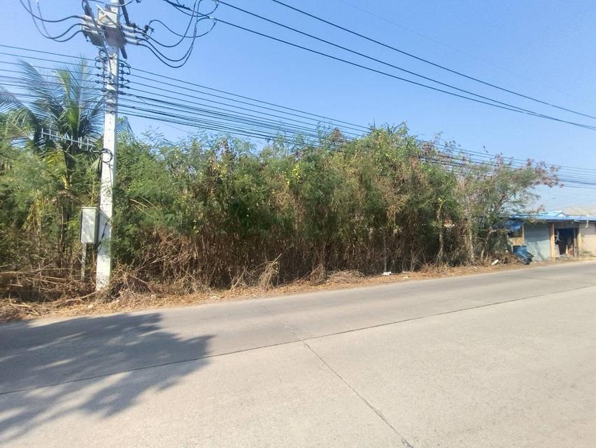 ขายที่ดิน 10 ไร่ ที่หน้าติดถนนคลอง6 3