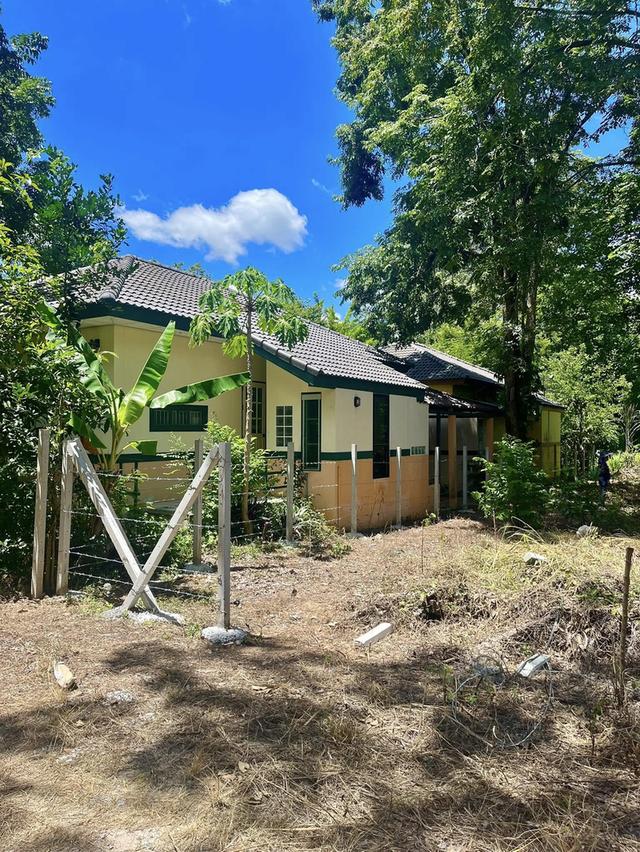 ขายที่ดินโฉนดเขาใหญ่ 114 ตารางวา ใกล้ถนนมิตรภาพและถนนหลวงหมายเลข 1016 ต.พญาเย็น อ.ปากช่อง จ.นครราชสีมา 4