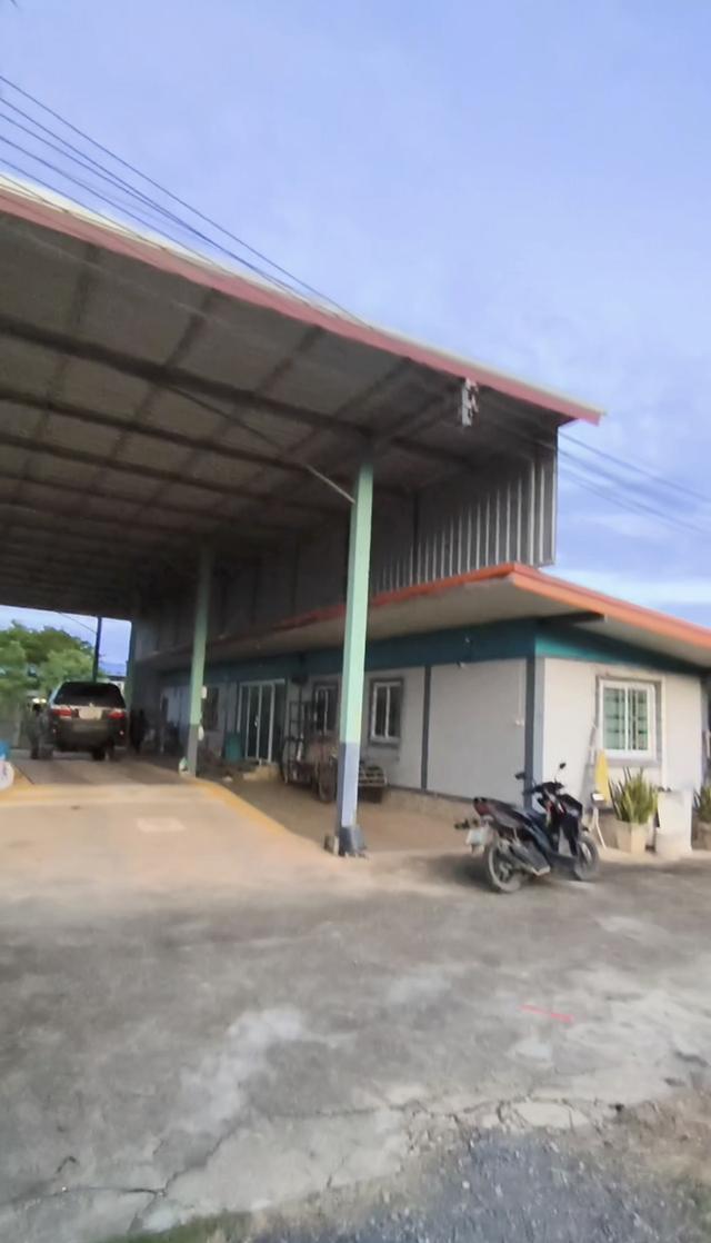 โรงงานพร้อมสวนที่ดินส้มโอ 3