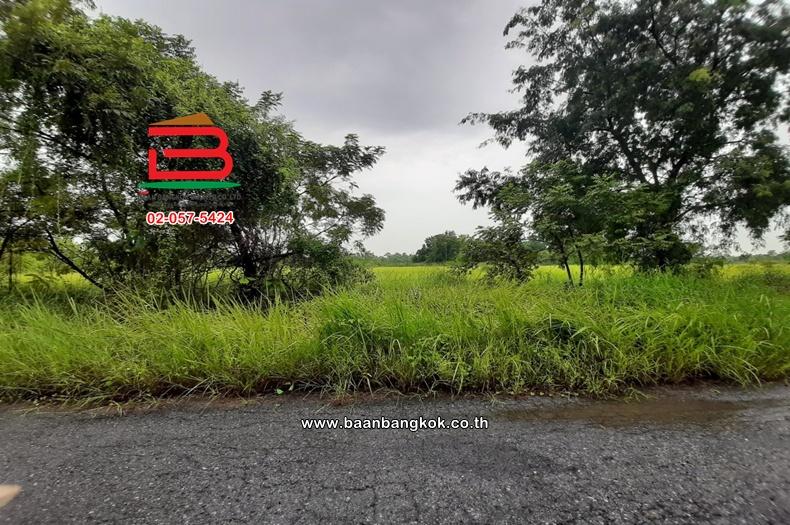 อาคารพาณิชย์ เนื้อที่ 16 ตร.ว. หมู่บ้าน เค.ซี.1 (ซอยหทัยราษฏร์ 39) ถนนหทัยราษฎร์ แขวงสามวาตะวันตก เขตคลองสามวา 2