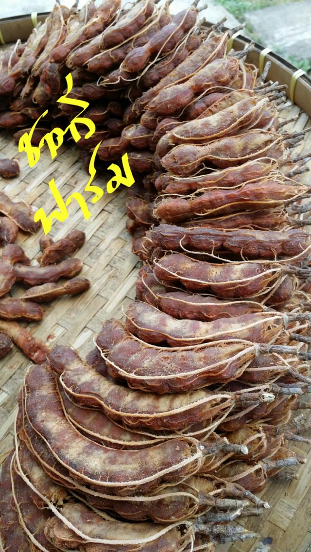 มะขามเปียกพร้อมเม็ด ปี2569 ไม่รวมส่ง