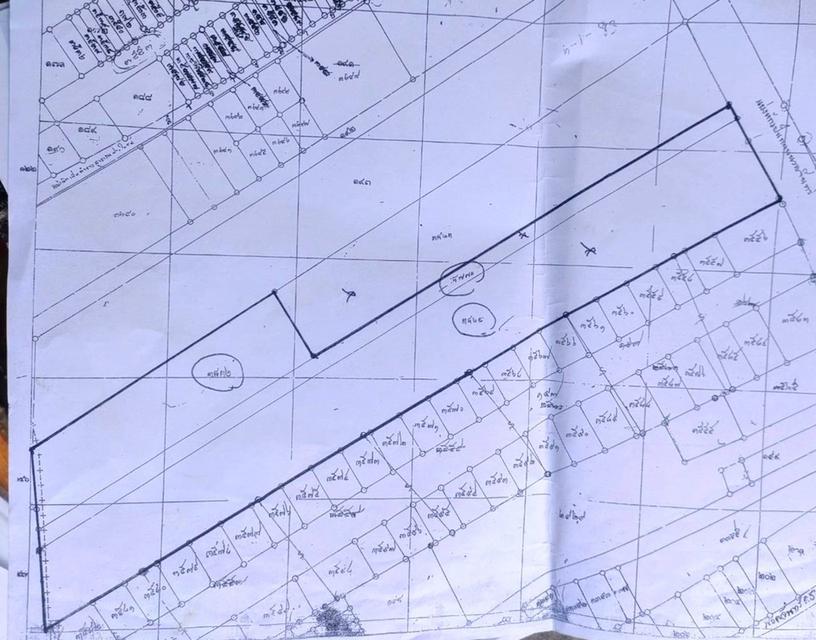 ขายที่ดินเปล่าถมแล้วติดถนนนวลจันทร์ กรุงเทพมหานคร 2