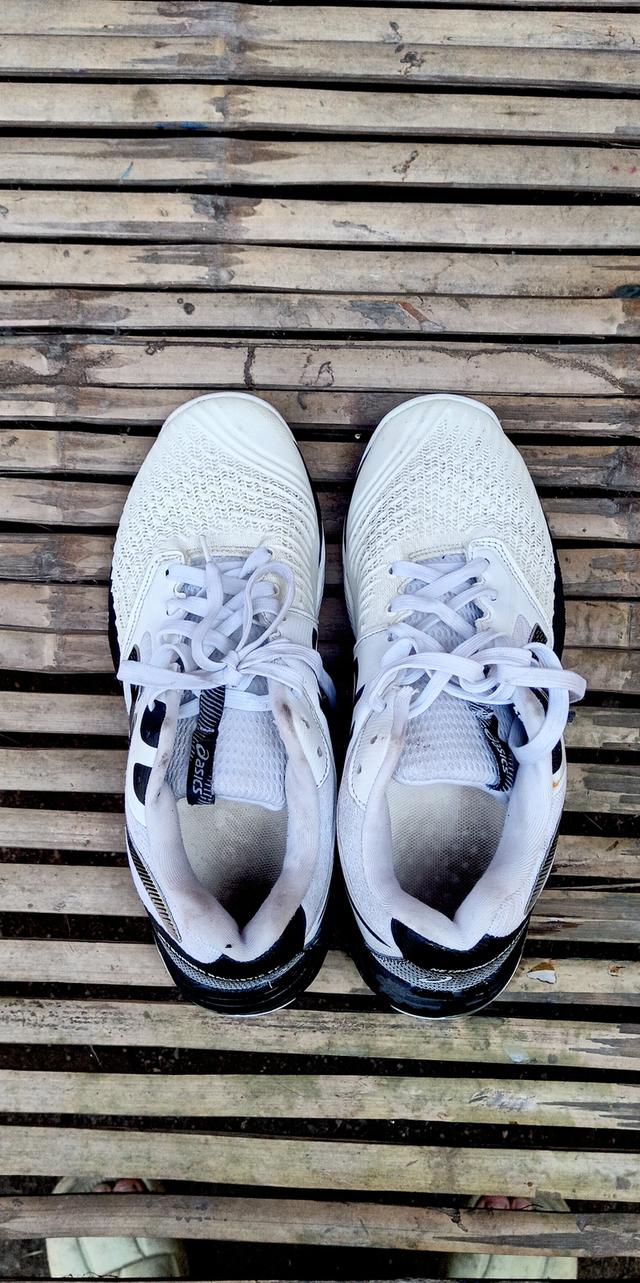 ⭐ Asics netburner ballistic ff รูปที่ 3