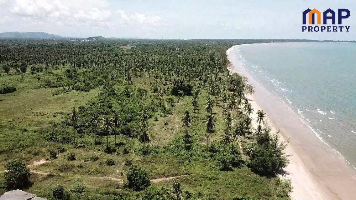 โอกาสทองสำหรับนักลงทุน ที่ดินแปลงใหญ่ 65 ไร่ติดทะเลบางสะพาน 12