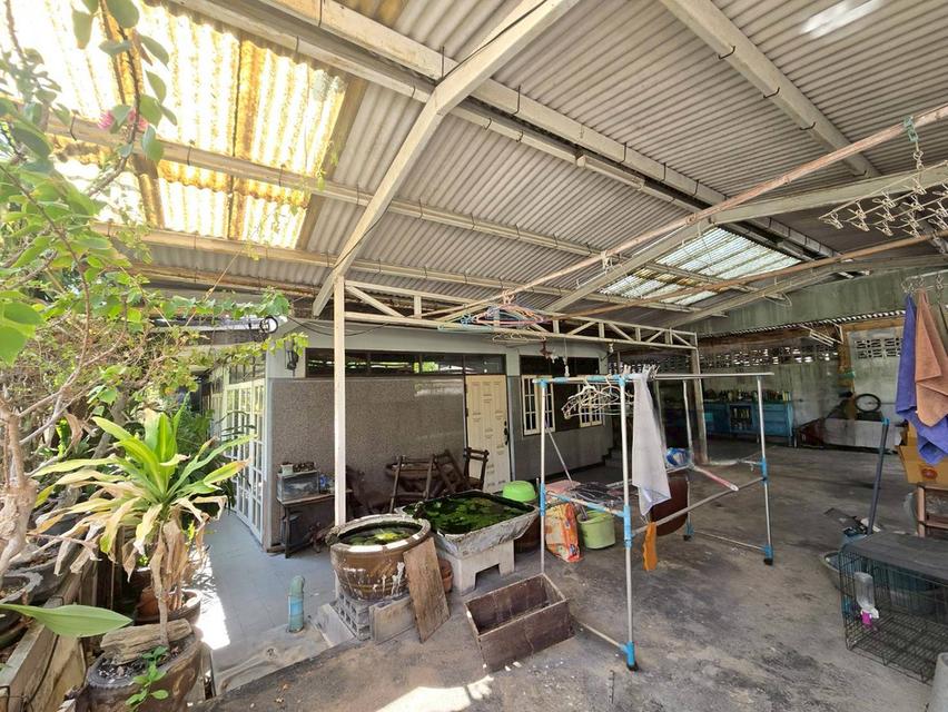 ขายที่ดินแปลงสวย พร้อมบ้าน 2 ชั้น สุขุมวิท 65 ซ.ชัยพฤกษ์แยก10 ใกล้ BTS เอกมัย (N.2023) 7