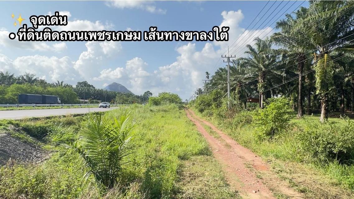 🌳 ขายด่วน! ที่ดินสวนปาล์มสวย ติดถนนเพชรเกษมขาลงใต้ ทำเลทอง อ.หลังสวน จ.ชุมพร 🏗️ 1