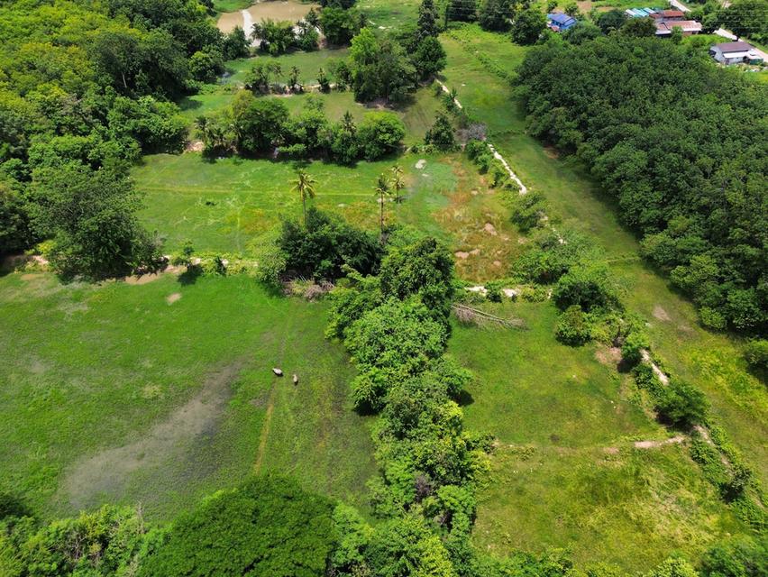 ที่ดิน 4