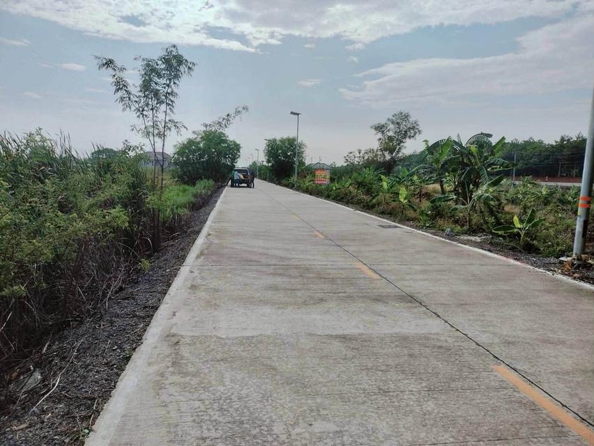 ขายด่วนที่ดิน 452 ตรว ติดถนนคอนกรีตสาธารณะ ถมแล้ว ซ.คลองสาม 12/17 คลองหลวง ปทุมธานี 3