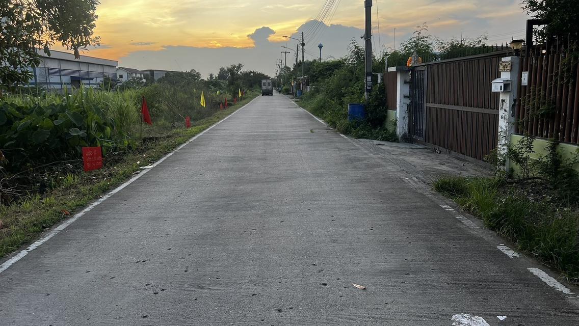 ขายที่ดินเปิดแปลงใหม่ คลองสาม  คลองหลวง ปทุมธานี 100 ตารางวาเพียง  8.5 แสนบาท 18