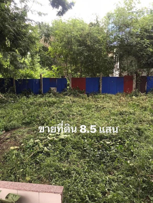 ขายที่ดิน2งานราคาสุทธิ8แสน5หมื่นใกล้โรงเรียนวัดบ้านยางเสาไห้สระบุรีติดต่อ0934415691KERK