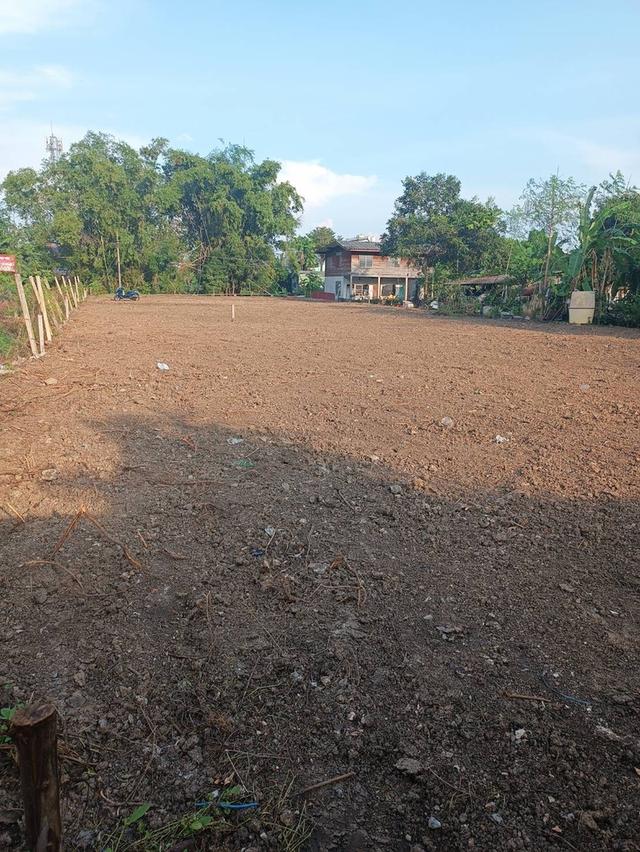 ที่ดิน 10