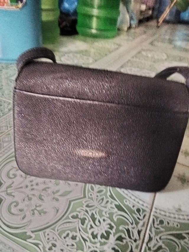 กระเป๋า หนัง ปลากระเบน รูปที่ 6