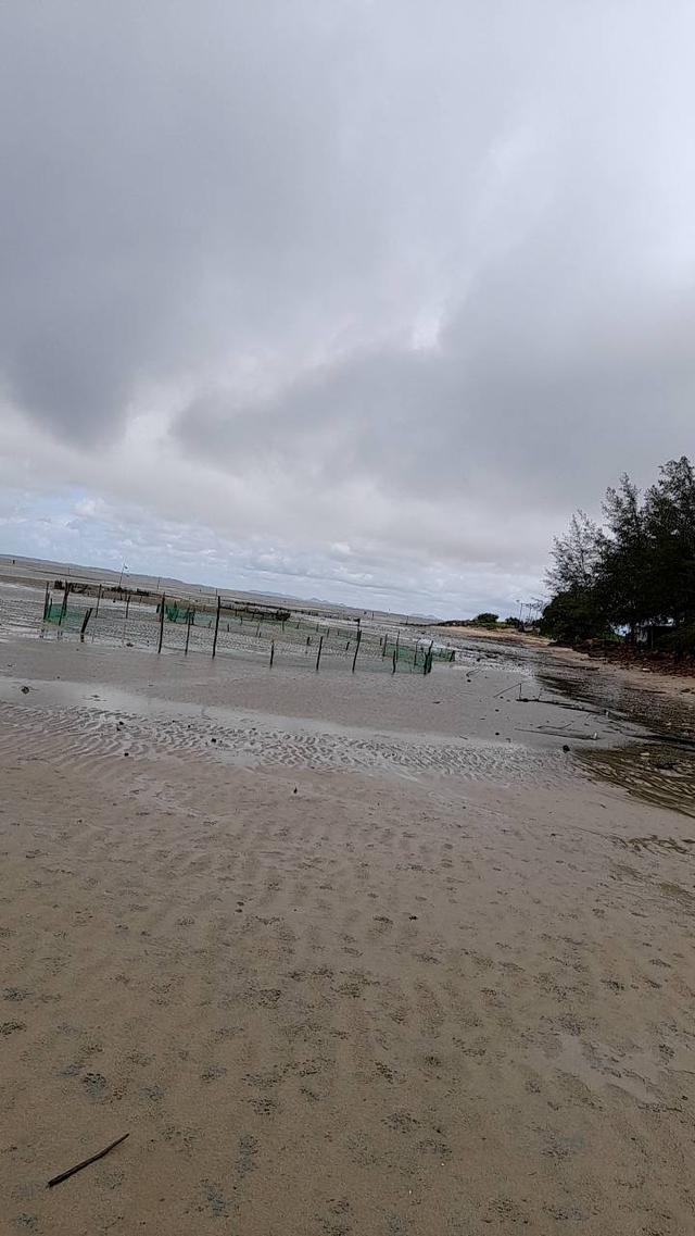 ขายเกาะและที่ดินติดชายหาดส่วนตัว 23 ไร่ ที่แหลมกลัด จ.ตราด ราคาสุดคุ้มเพียง 92 ล้านบาท 2