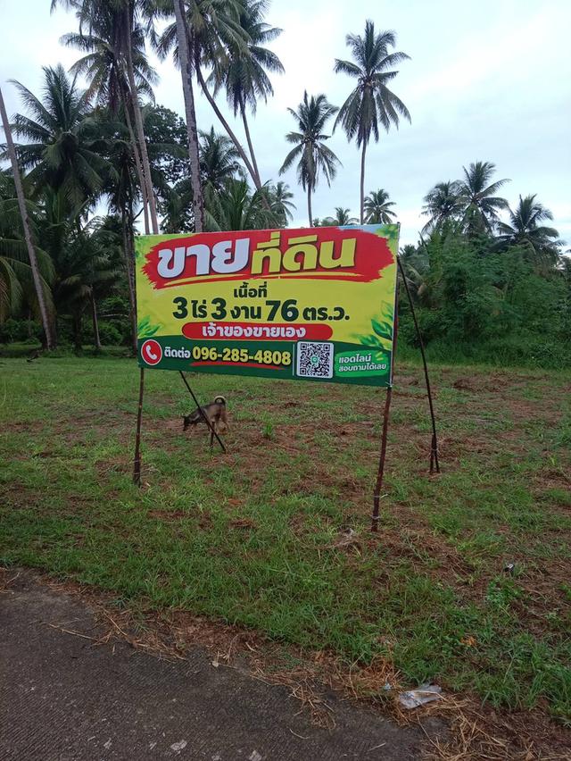 🌊 Large Land Plot Near the Sea — Perfect for Ultimate Privacy 1