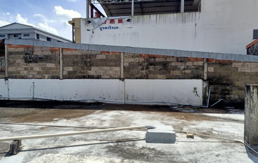 🔥 ขายที่ดินติดถนนใหญ่ ทำเลดีมาก 🔥 7