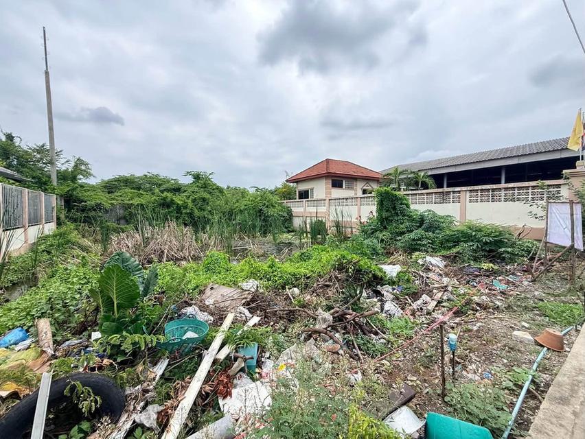 ขายด่วนที่ดินตลาดใหญ่ลำลูกกา 100 ตรว ติดถนนคอนกรีต ซ.เทศบาล 17 ลำลูกกา ปทุมธานี 7