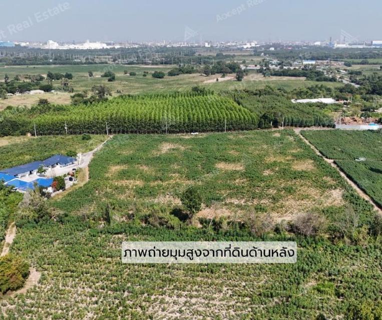 ขายที่ดินใกล้ทะเล อำเภอบ้านฉาง ระยอง 6-2-68 ไร่ 4