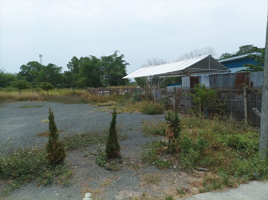ขายที่ดิน95ตร.ว. ต.แม่คือ อ.ดอยสะเก็ด จ.เชียงใหม่ 14