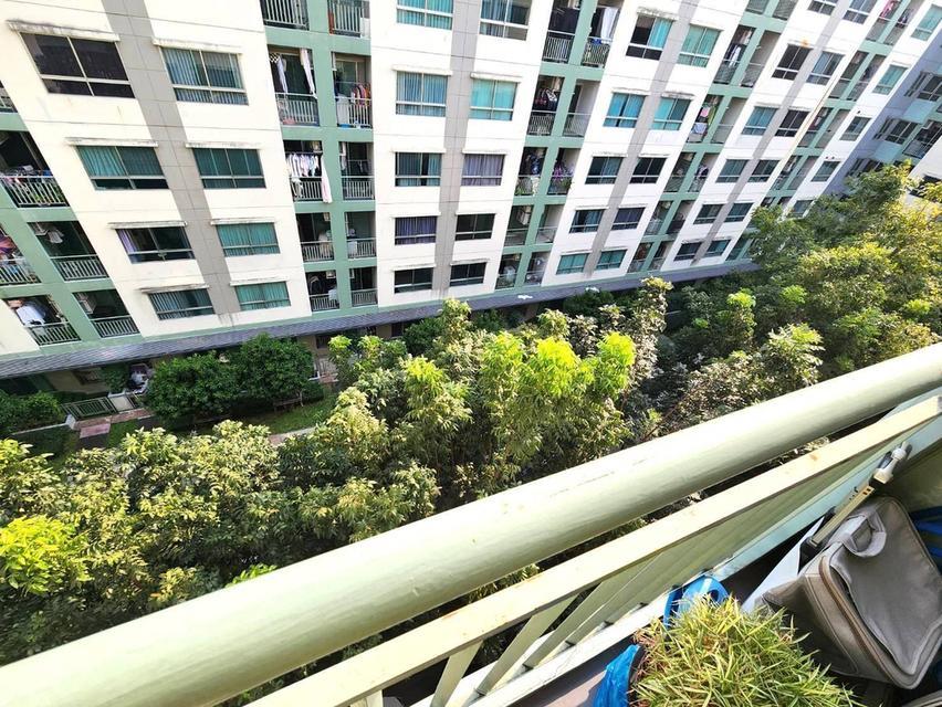 เจ้าของขายเอง ราคา 1,370,000 คอนโด LPN วิลล์ อ่อนนุช 46 วิวติดสวน ใกล้รถไฟฟ้า 2 สาย ระเบียงหันทิศใต้ 14