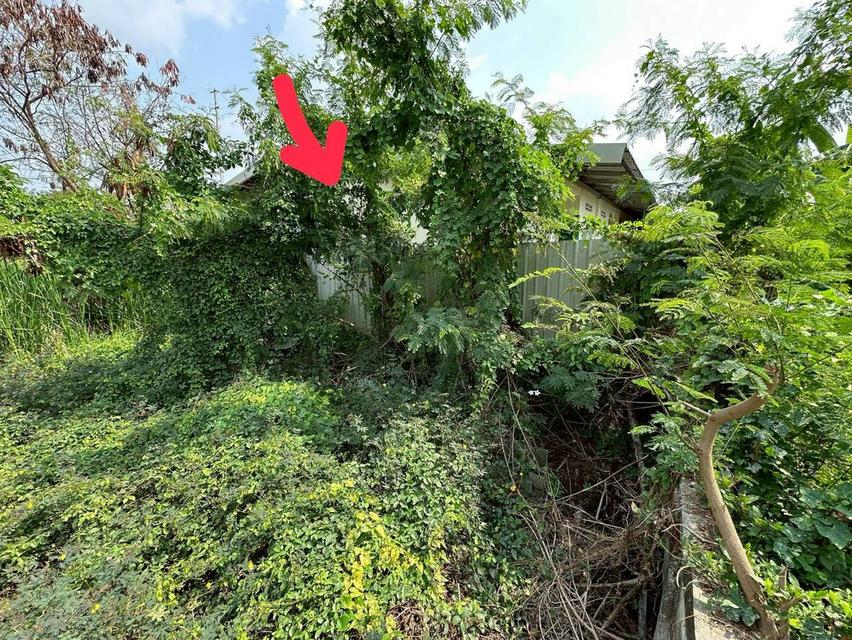 ที่ดินเปล่า เนื้อที่ 119 ตร.ว. ถนนฉลองกรุง แขวงลำปลาทิว เขตลาดกระบัง กรุงเทพมหานคร 2