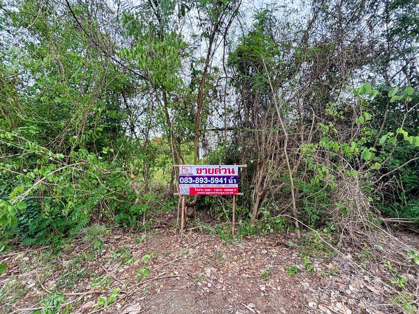ที่ดินเปล่า