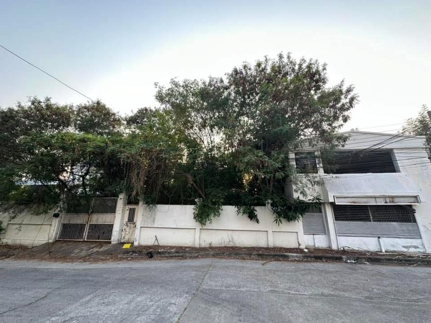 ที่ดิน พัฒนาการ 76 มีสิ่งปลูกสร้าง 1