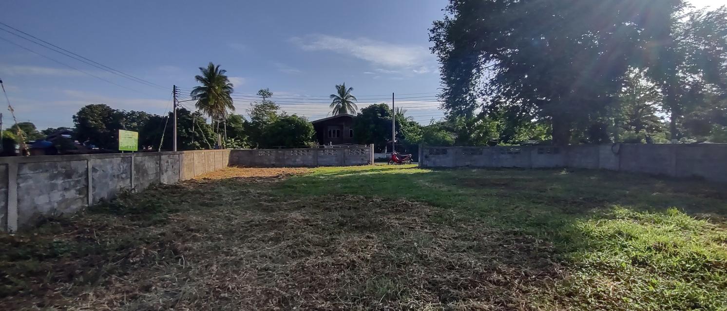 ที่สำหรับสร้างบ้าน 115ตรว 490,000อยู่บ้านนาแก้วตะวันออก ต.นาแส่ง อ.เกาะคา จ.ลำปาง วิวเขา วิวทุ่งนา อยู่กลางชุมชนห่างถนนพหลโยธิน 80เมตร ห่าง7-1 11