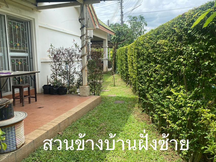 บ้านเดี่ยวพร้อมที่ดิน 7
