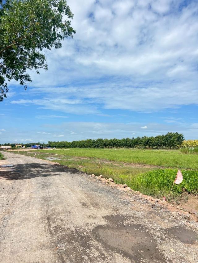 ที่ดินเงินสด ต.อาษา อ.บ้านนา จ.นครนายก 6