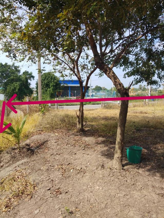 ขายที่ดินสวยติดถนนพร้อมโฉนด 5