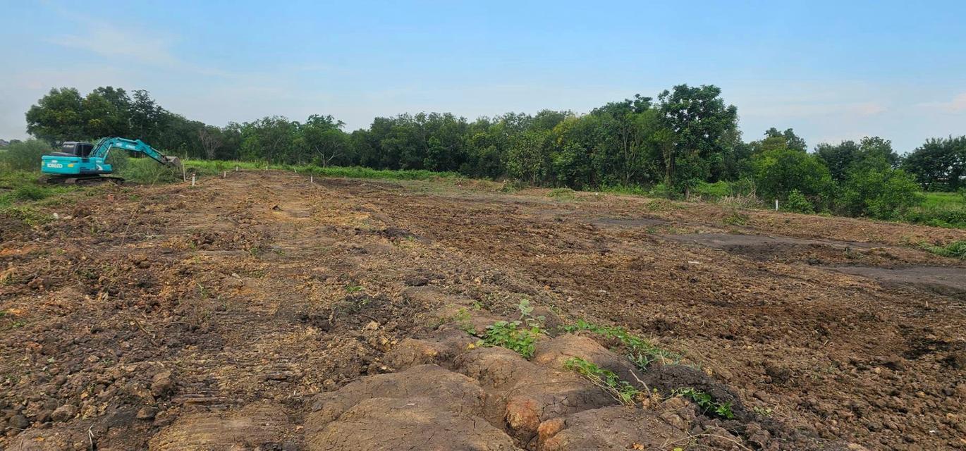 เปิดจองที่ดินทำเลดี คลอง 5 คลองหลวง ปทุมธานี | ใกล้มอเตอร์เวย์ เหมาะมากสำหรับสร้างบ้านสวนส่วนตัว โฮมออฟฟิศ หรือคลังสินค้าเดินทางสะดวก 18