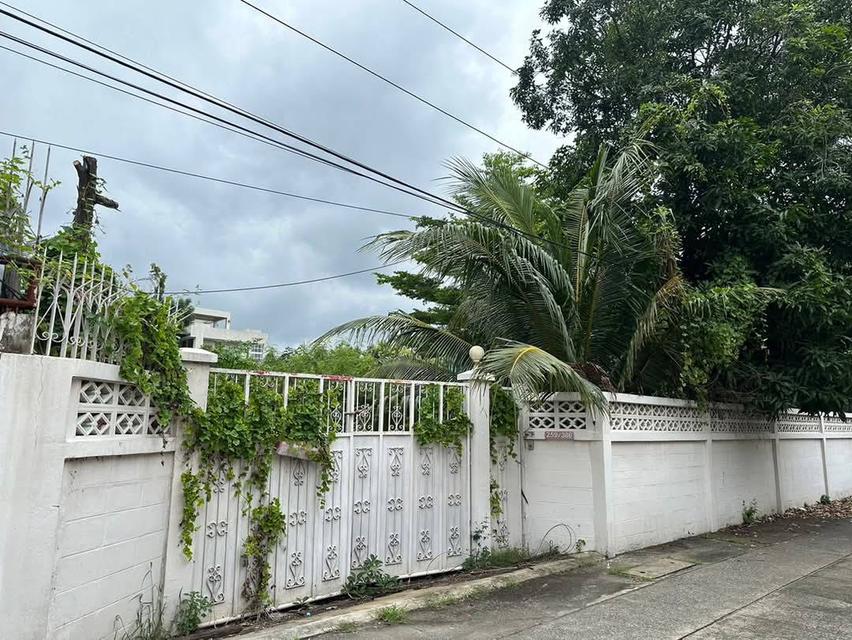 ขายที่ดินสุขุมวิท 71 เข้าออก เอกมัย/สุขุมวิท 65/ปรีดี15 แปลงสวยมาก ถนนหน้าที่ดินกว้าง สภาพแวดล้อมดี ใกล้ BTS เอกมัย พระโขนง Land Sukhumvit 5